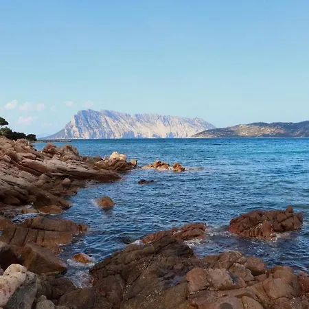 Casa vacanze Casa Le Farfalle Capo Coda Cavallo