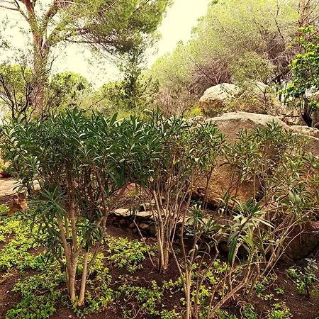 Casa vacanze Casa Le Farfalle *